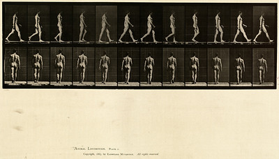 2 - Vol 1 - Plate 2